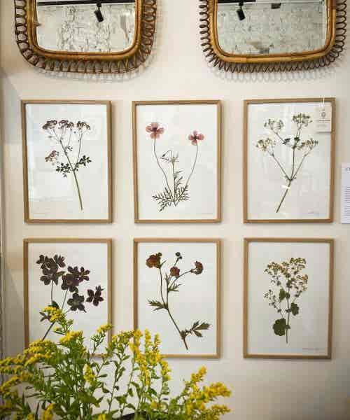 344950656_777049590456321_6810174122758366771_n