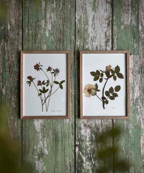 469065345_17957374817844488_2505535935918490117_n